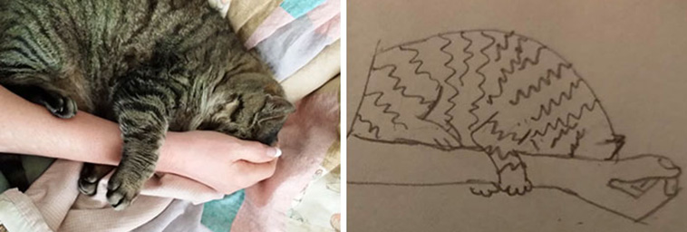 bad pet drawings