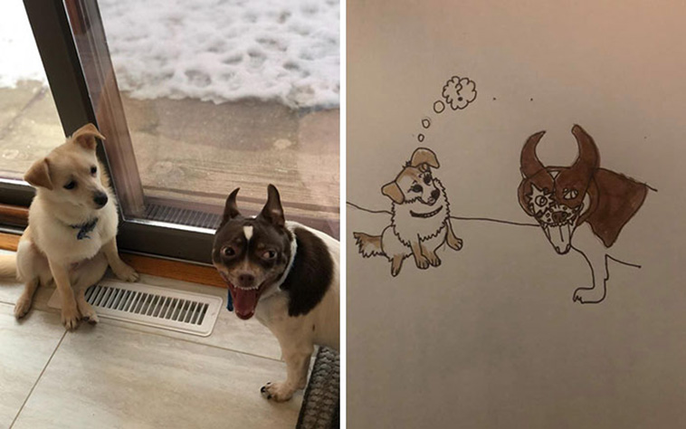 bad pet drawings
