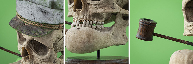 cartoon skull fossils
