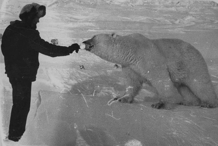 soldiers feeding bears