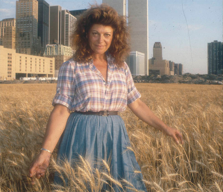 wheat field in new york 1980s
