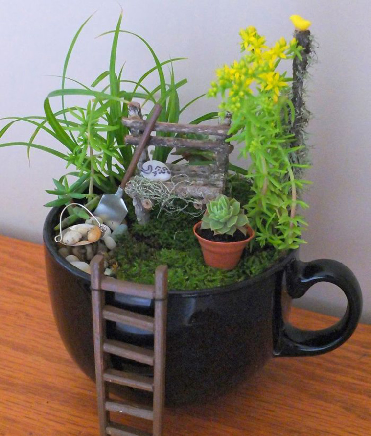 mini cup garden