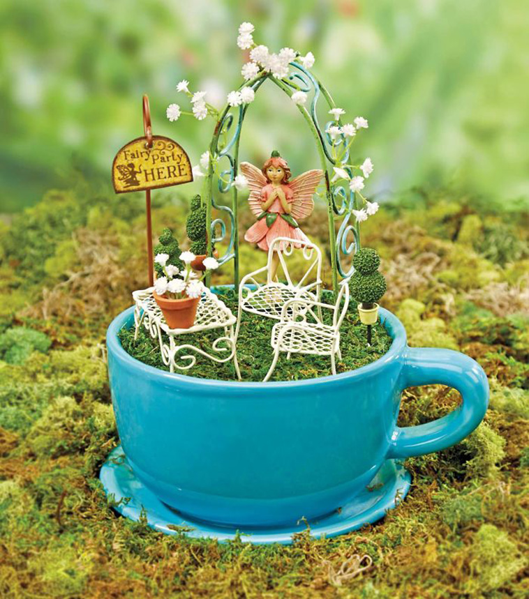 mini teacup garden