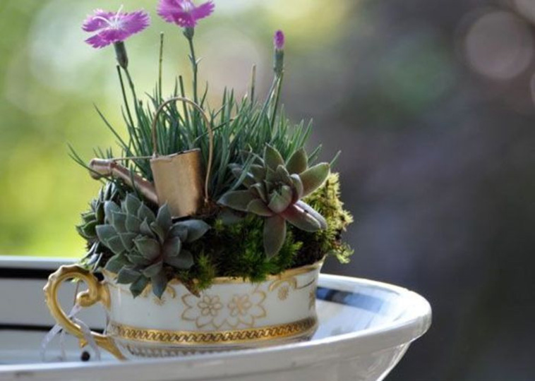 tiny gardens