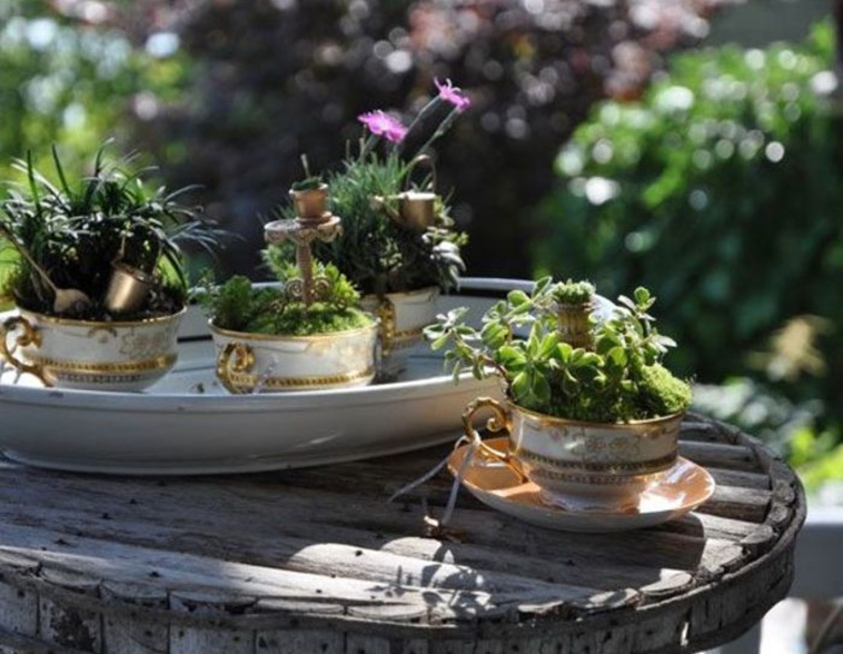 tiny gardens