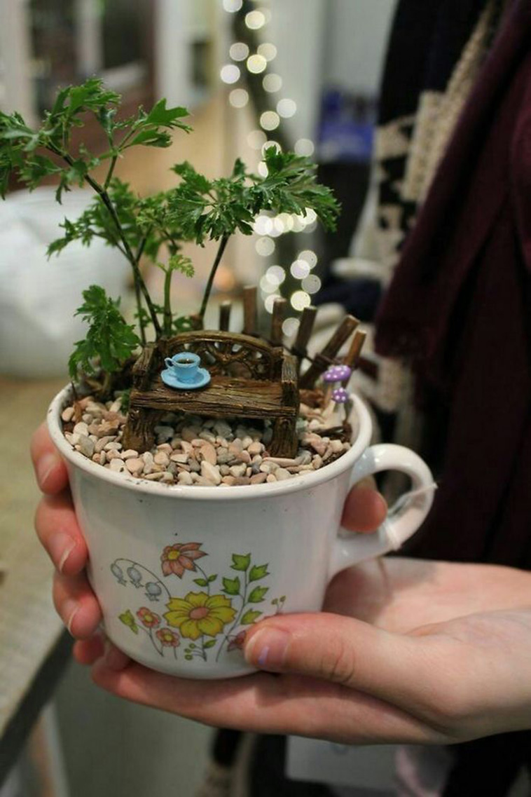 mini teacup garden