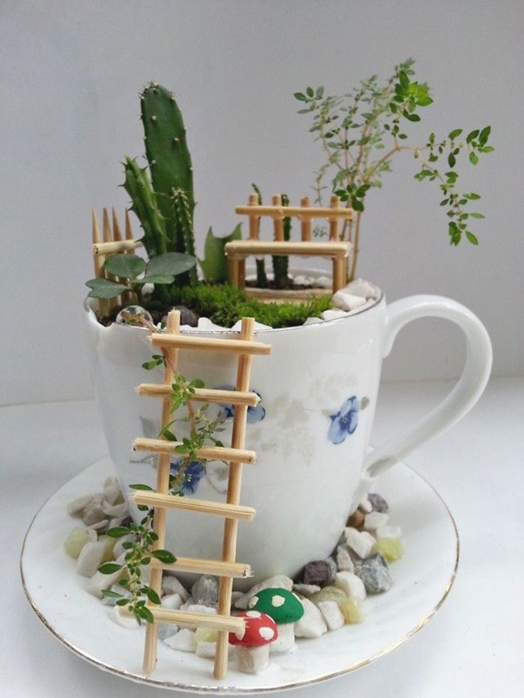 mini cup garden