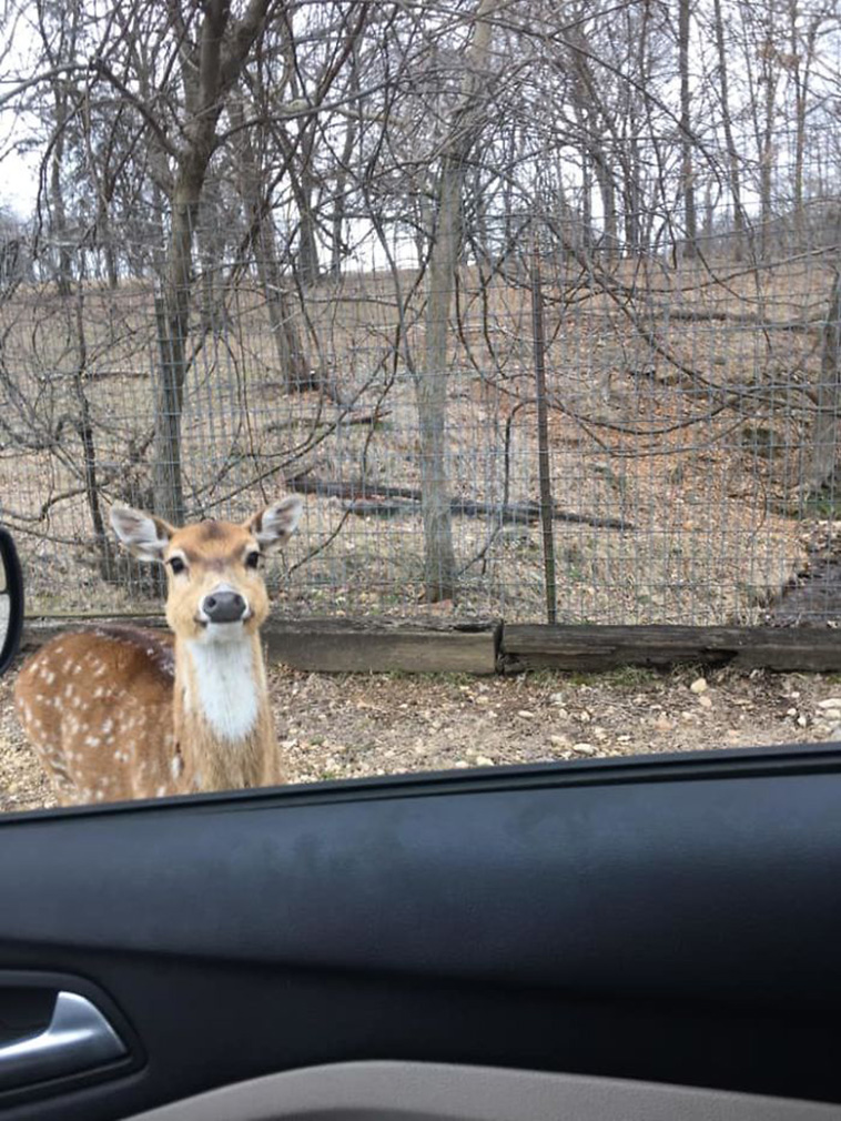 crap wildlife photos