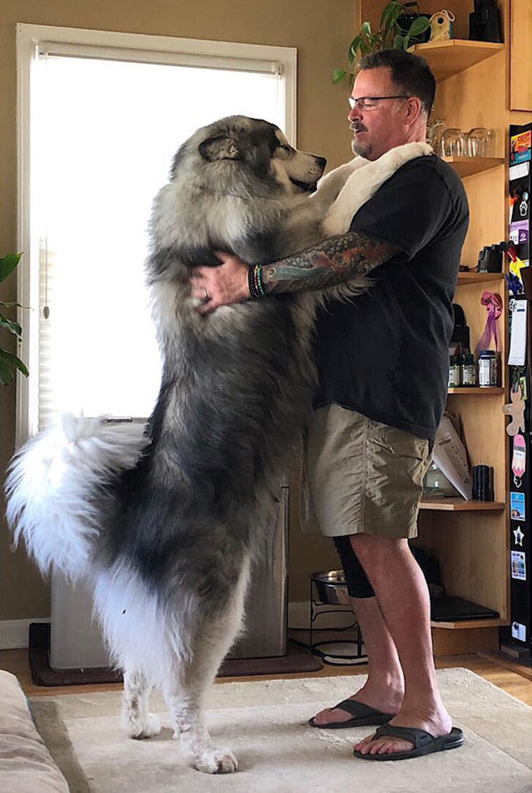 funny alaskan