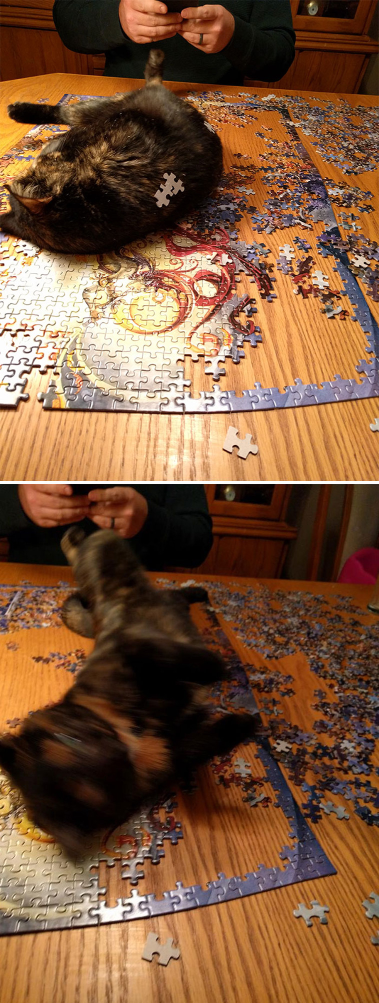 cats destroying puzzle