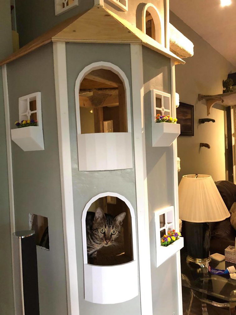 cat towers