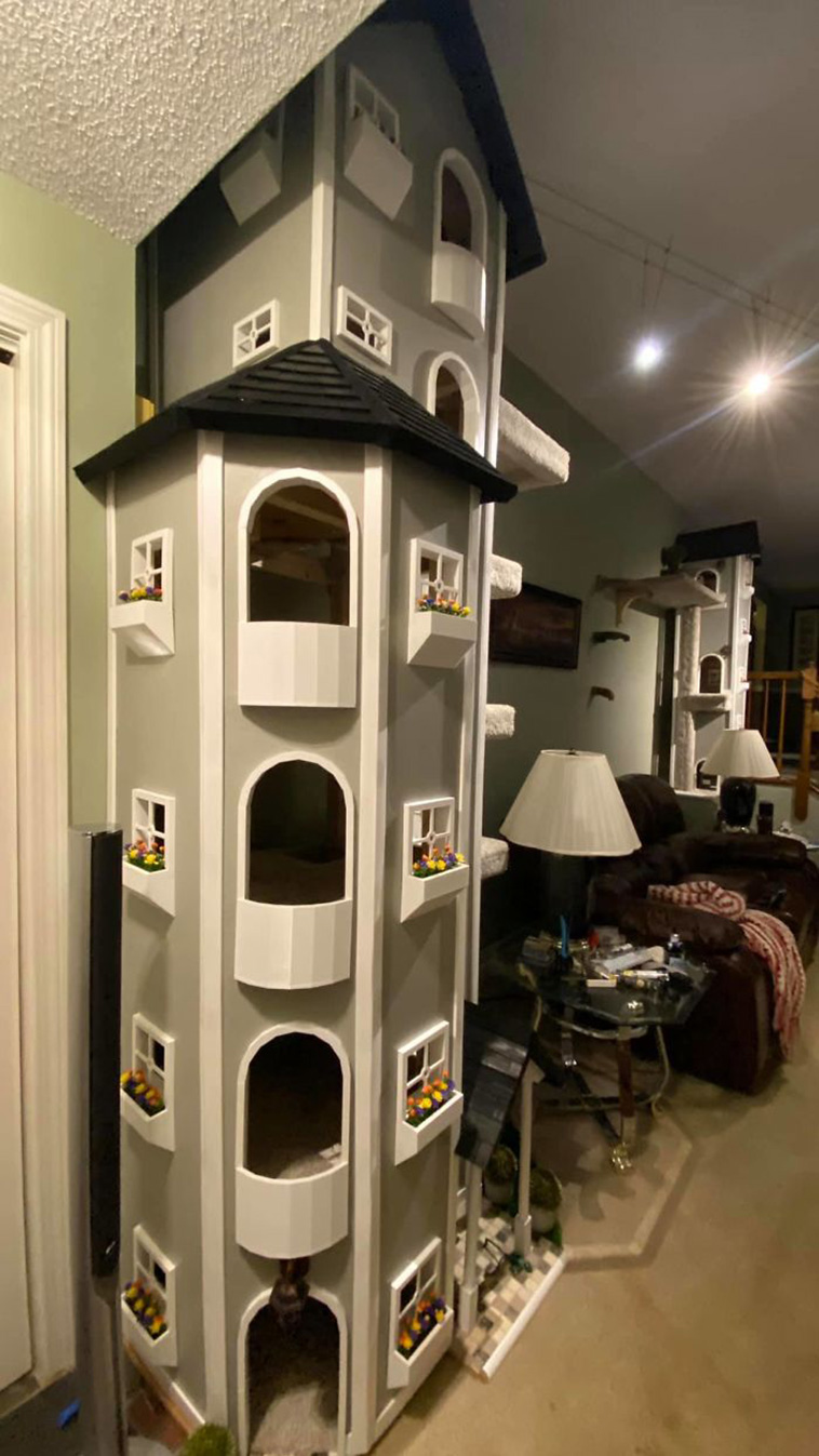 kitty towers