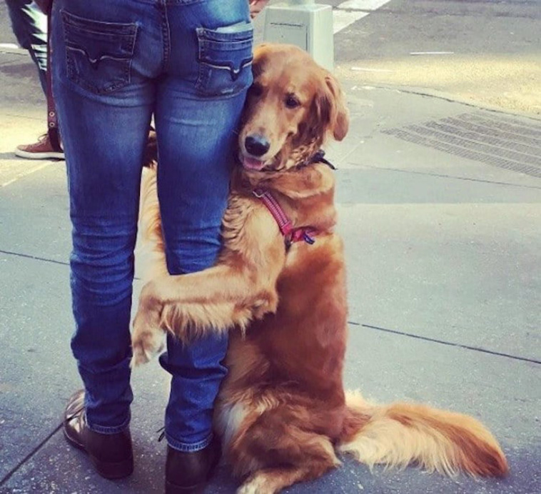 hugging dog
