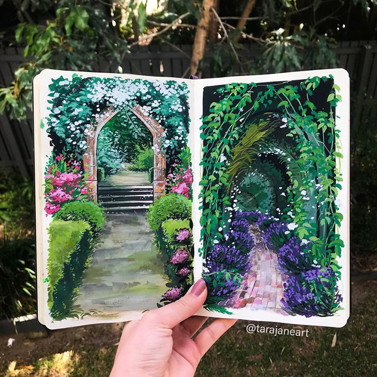 Nature Illustration