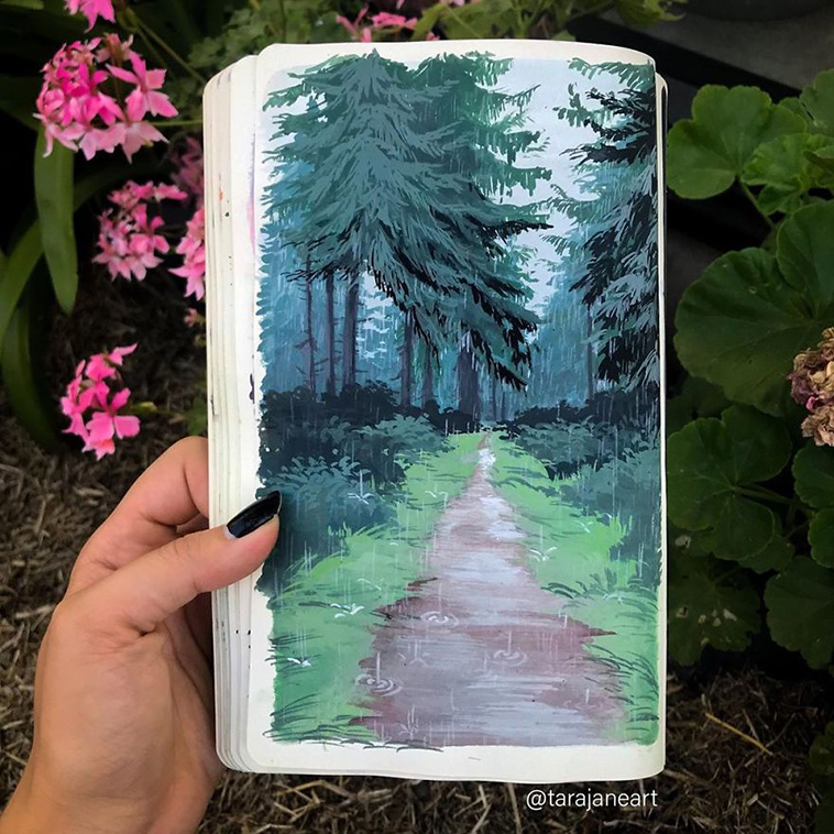 Nature Illustration