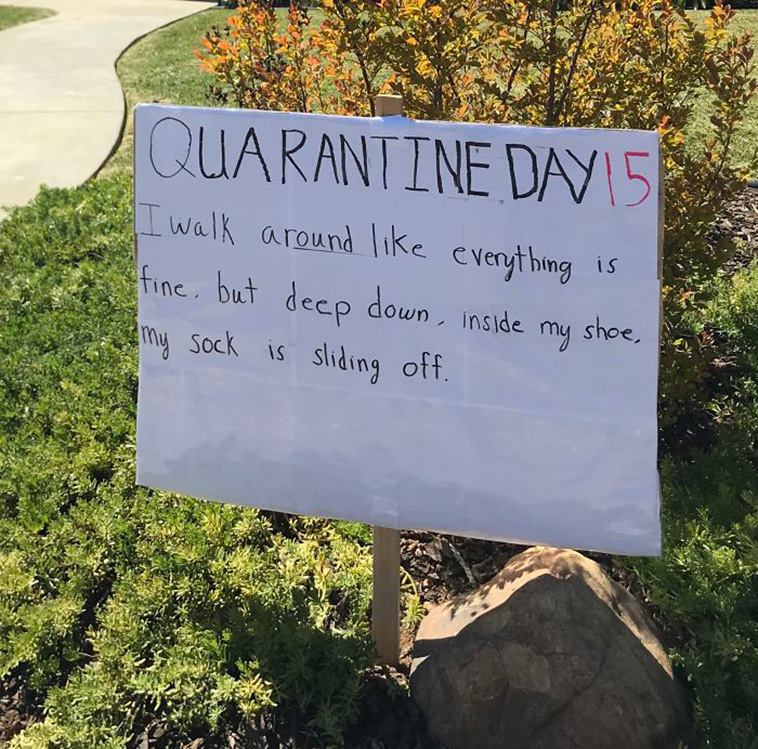 quarantine jokes neighbor