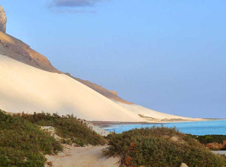  Socotra island