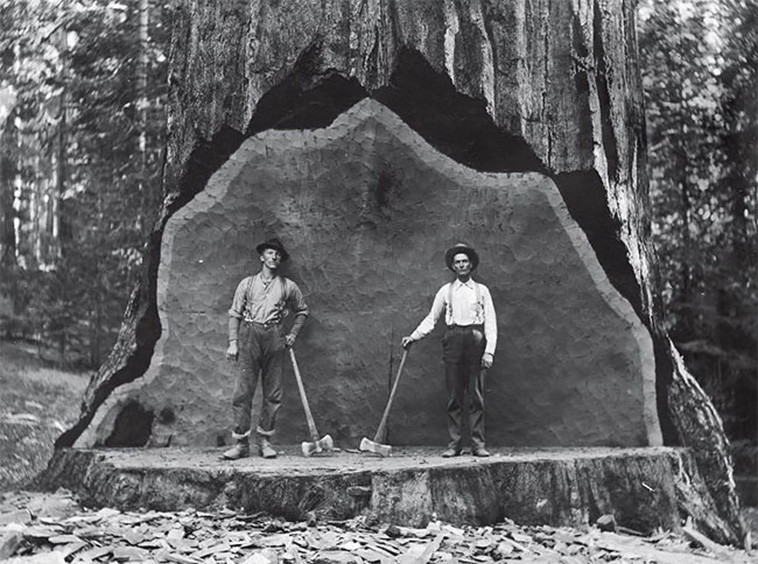 vintage photos of lumberjacks