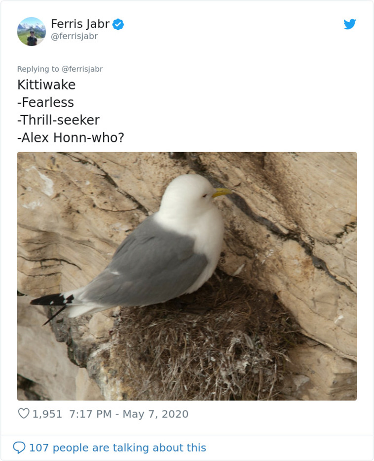 different Bird Nests