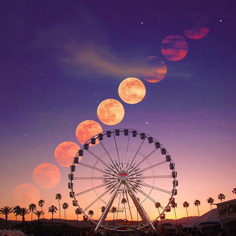 whimsical photo collages