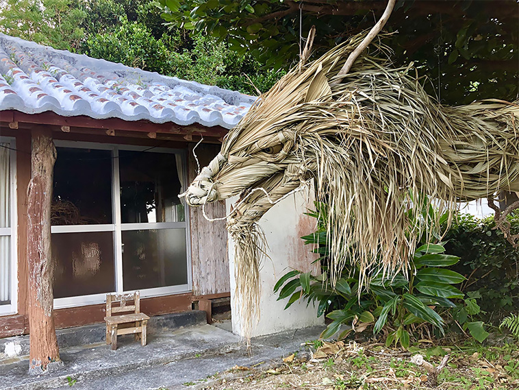  Palm Tree dragon