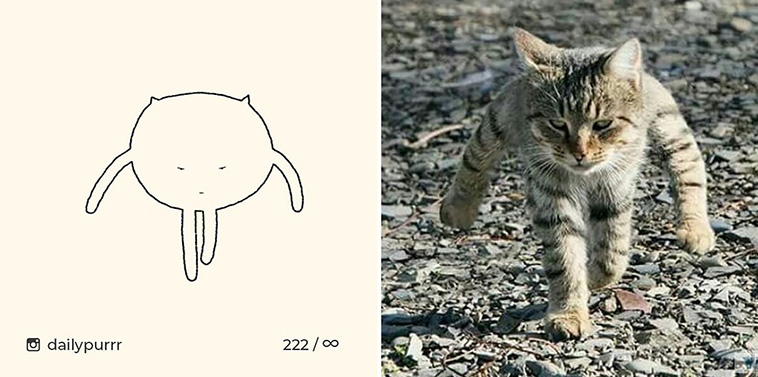 awkward cat drawings