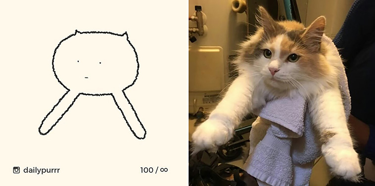 funny cat drawings
