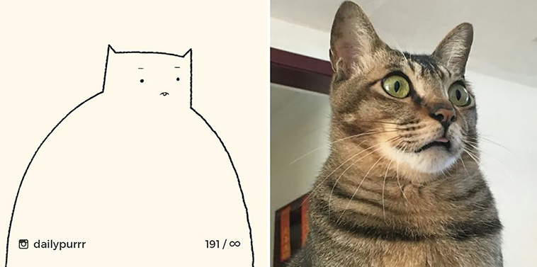 awkward cat drawings