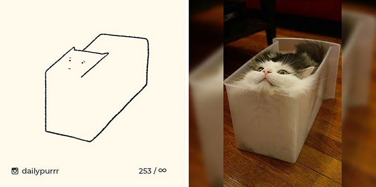 funny cat drawings