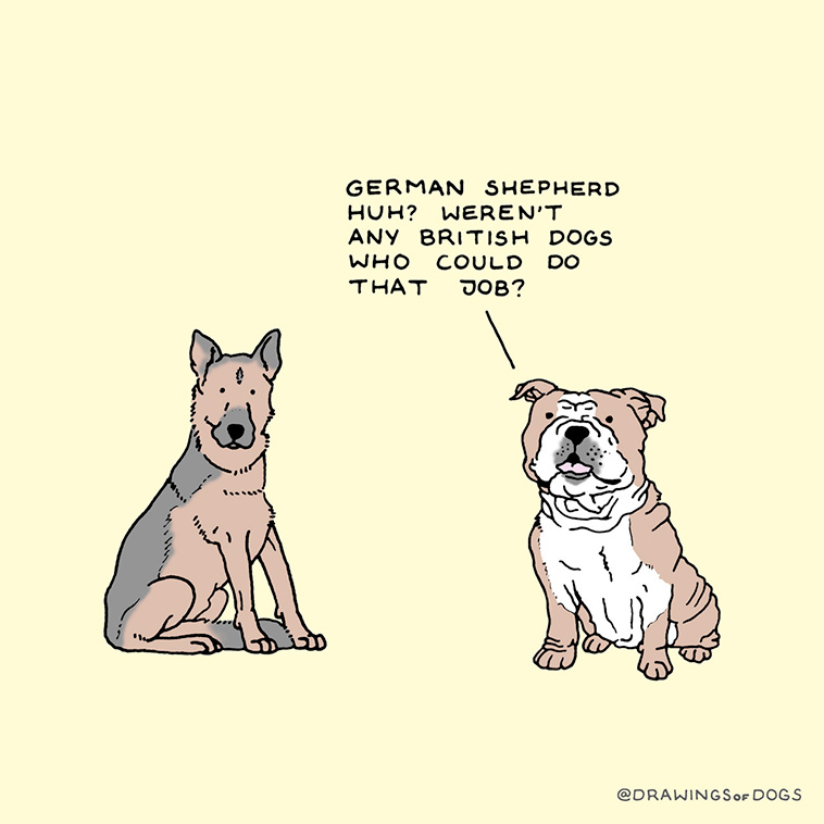 funny cartoons