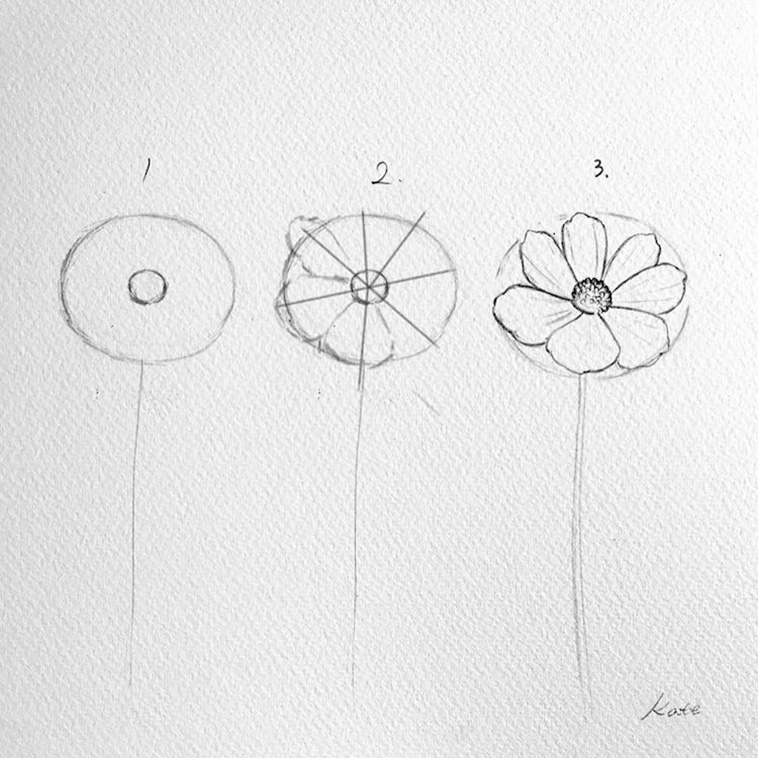 Draw Perfect Flowers