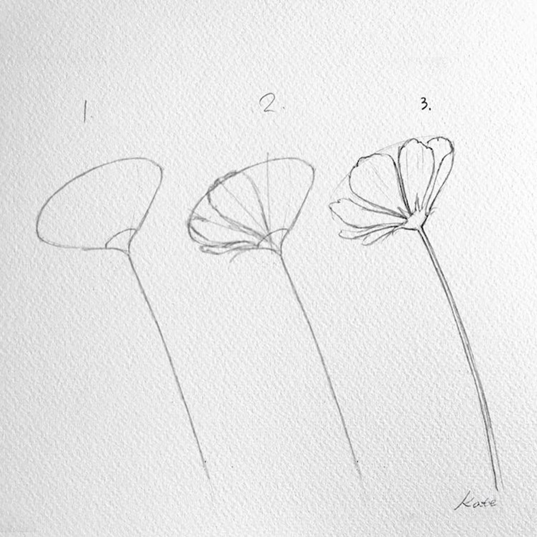 Draw Perfect Flowers