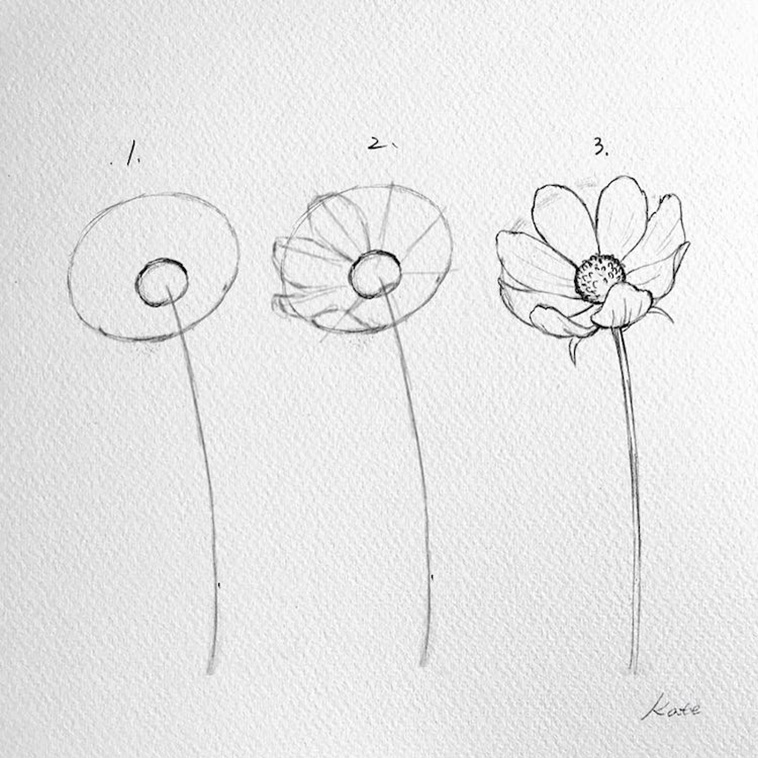 Draw Perfect Flowers in 3 steps