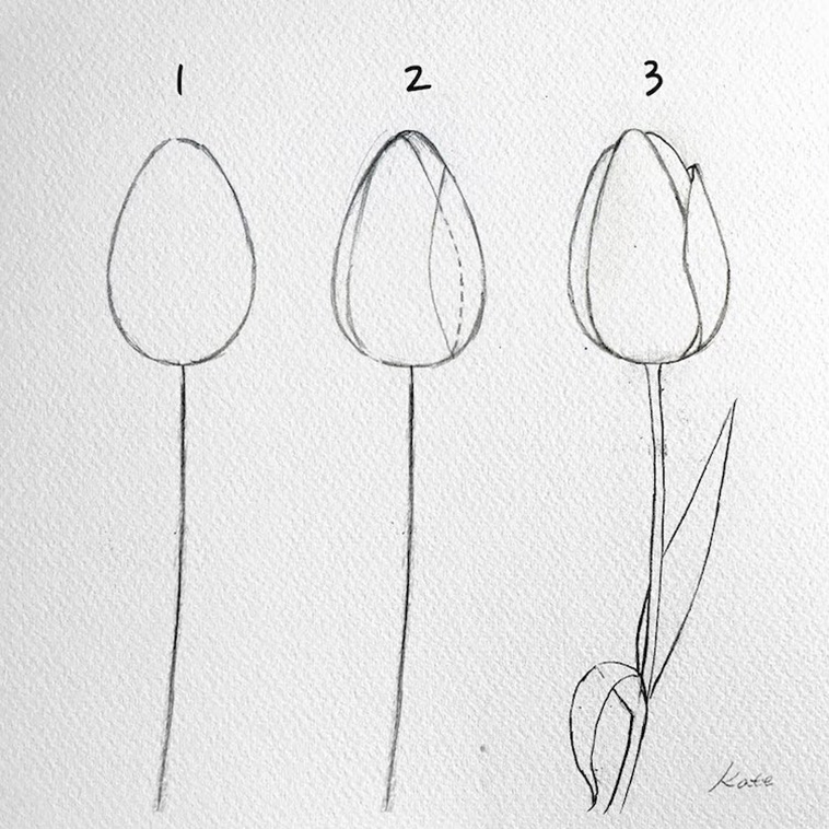 Draw Perfect Flowers in 3 steps