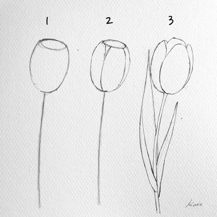 Draw Flowers in 3 steps