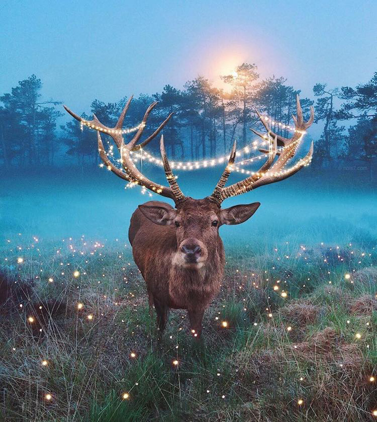 whimsical photo collages