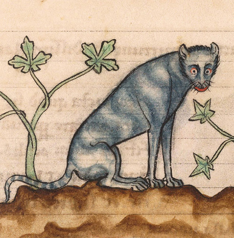 Medieval Paintings Of Cats