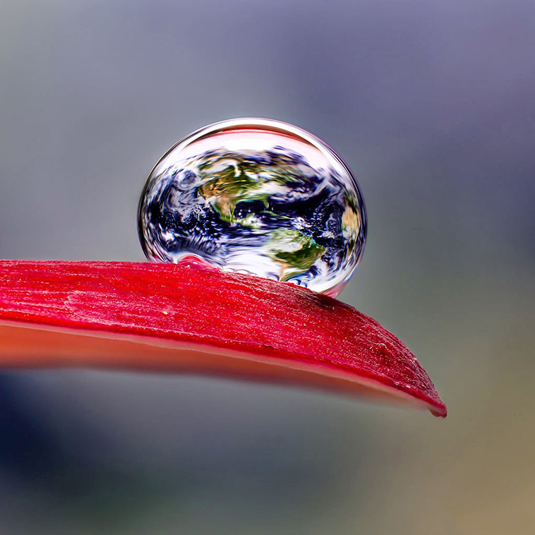 macro photos of water droplets