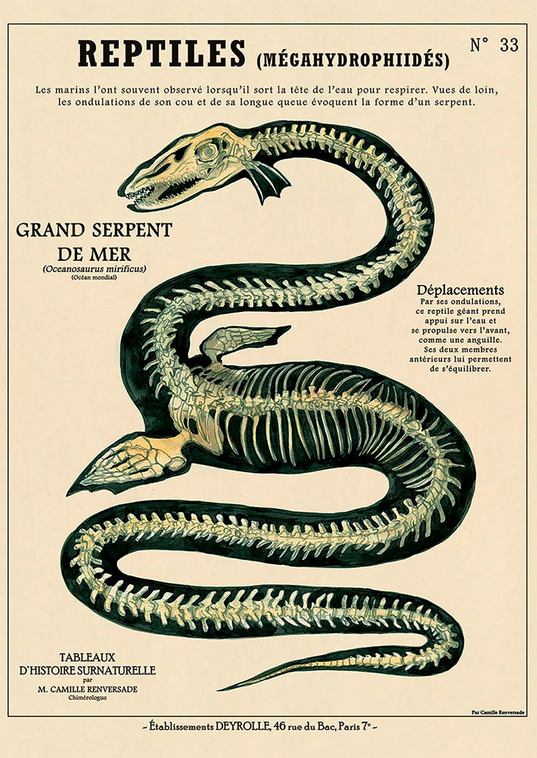 Fantastic creatures