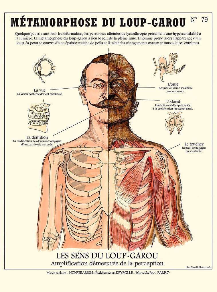 Weird Kafka-Style Anatomies
