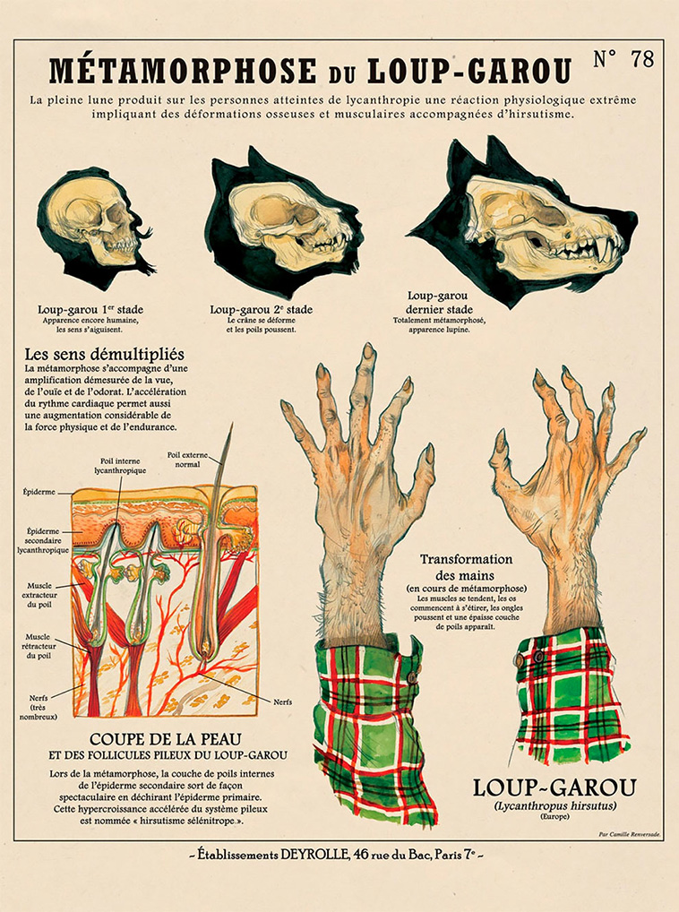 Weird Anatomies