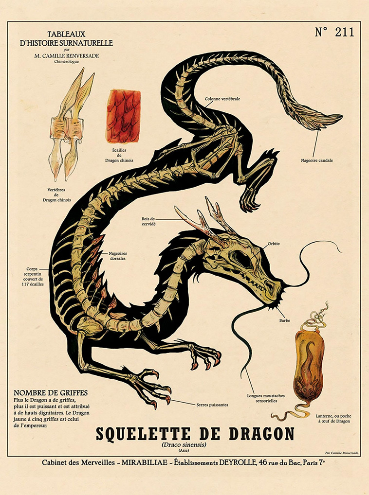 Kafka-Style Anatomies