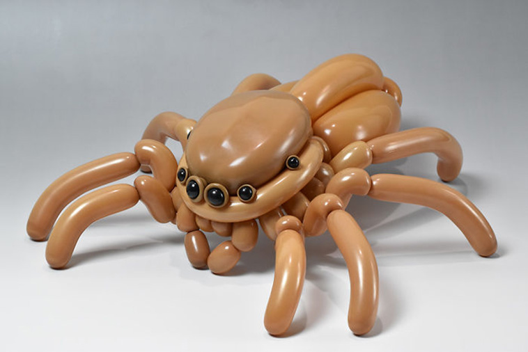 balloon art animals