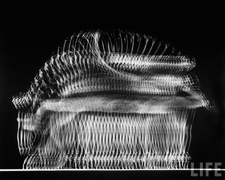  movement photos