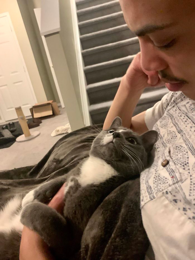 pets admiring people