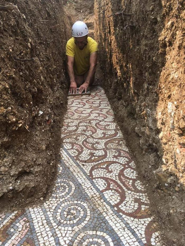 Ancient Mosaic Floor