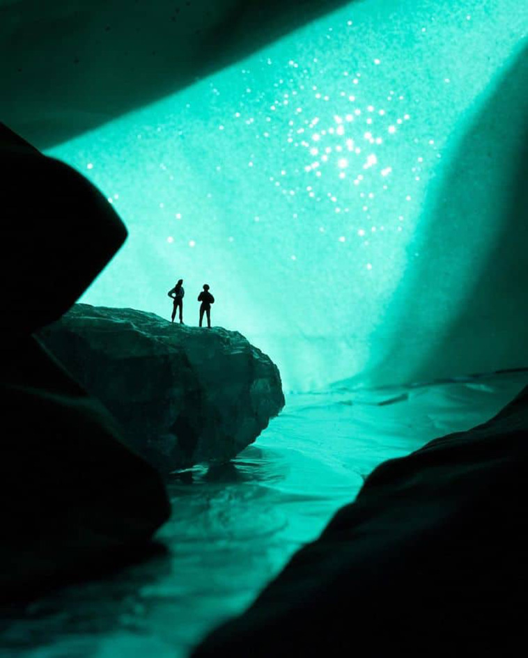 indoor nature photography
