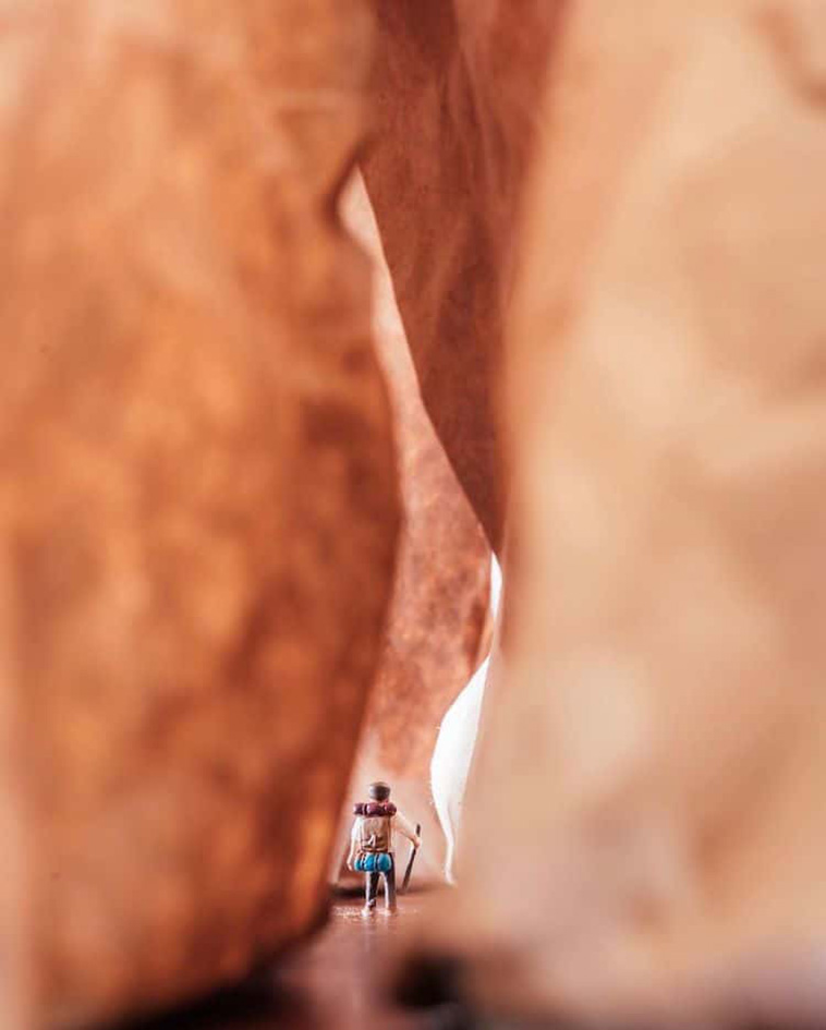 indoor nature photography