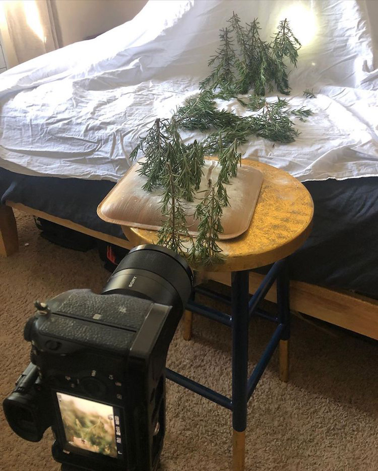 indoor nature photography