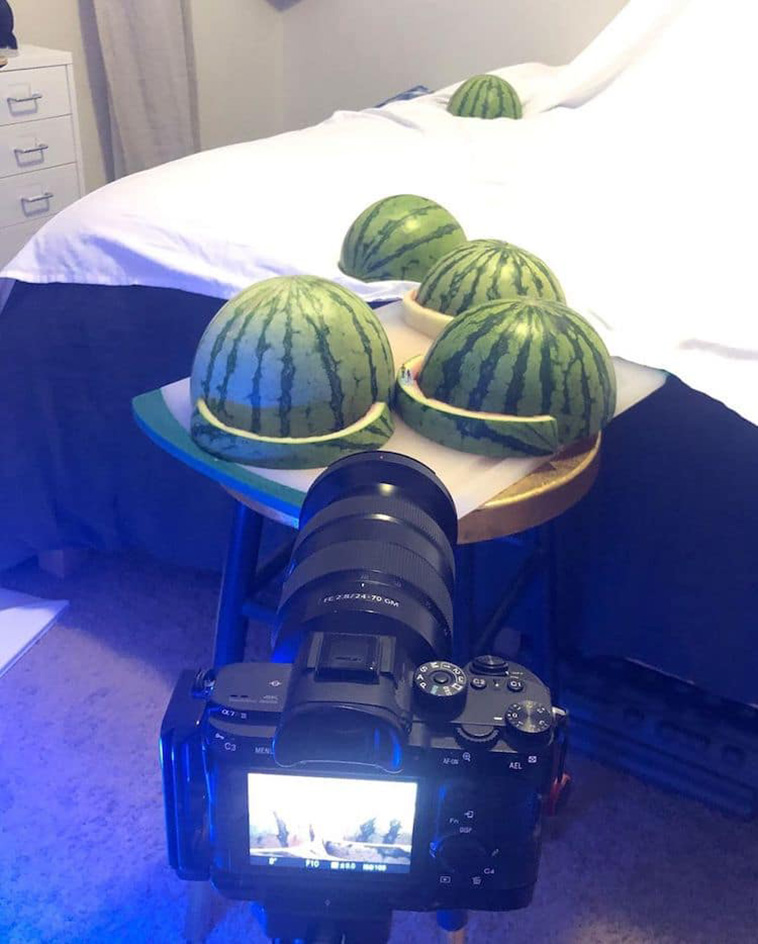 indoor nature photography